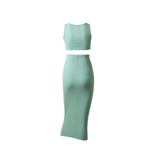Spring And Summer Skirt Two-piece Women Clothing Supply Sexy Tight Dress