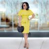 Slim Fit Business Wear Dress in Dresses