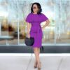 Slim Fit Business Wear Dress in Dresses