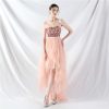 Floral Sequin Stitching Mesh Tube Top Dress in Dresses