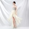 Floral Sequin Stitching Mesh Tube Top Dress in Dresses