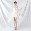 Floral Sequin Stitching Mesh Tube Top Dress in Dresses