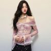 Sexy Off Shoulder Floral Printed Lotus Leaf Lace Trim Mesh Long Sleeve Top in Tops & Tees