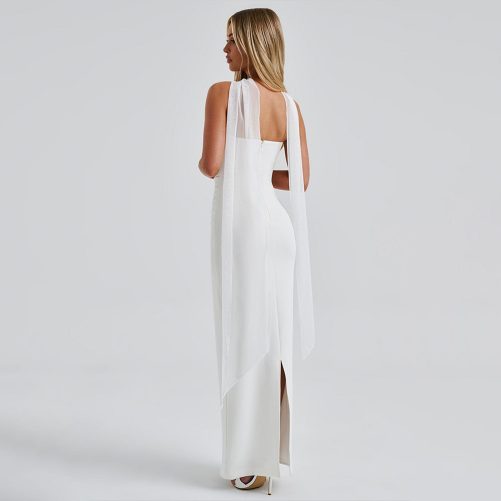 Elegant Ribbon Backless Sexy Sheath Dress in Dresses