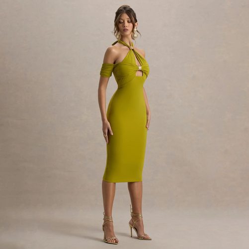 Elegant Halter Backless Sheath Dress in Dresses
