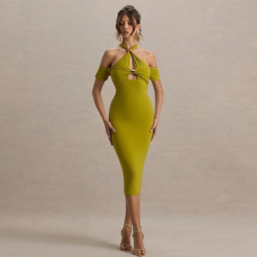 Elegant Halter Backless Sheath Dress in Dresses
