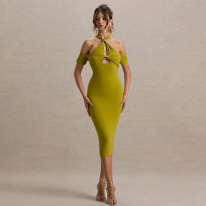 Elegant Halter Backless Sheath Dress in Dresses