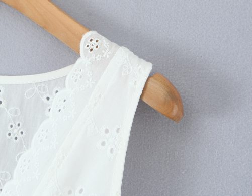Sexy V Neck Lace Embroidered Dress in Dresses