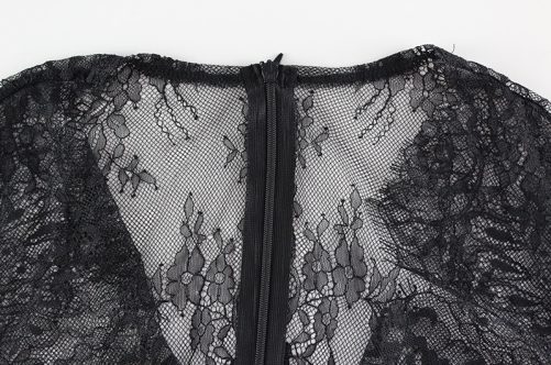 Lace See Through Sexy V Neck Slim Fit Hip Dress in Dresses
