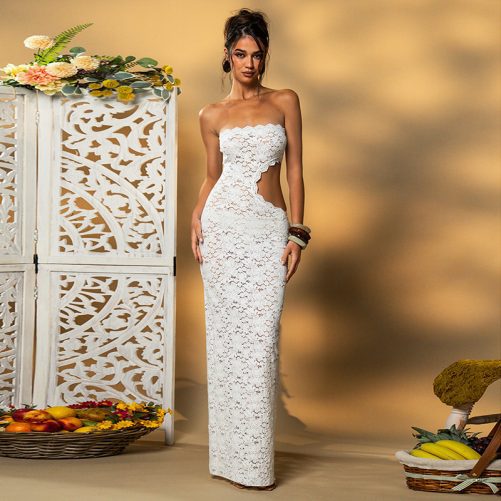 Sleeveless Backless Lace Hollow Out Cutout Out Slim Fit Dress in Dresses