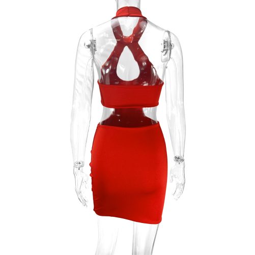 Sexy Halter Cut Out Hip Dress in Dresses