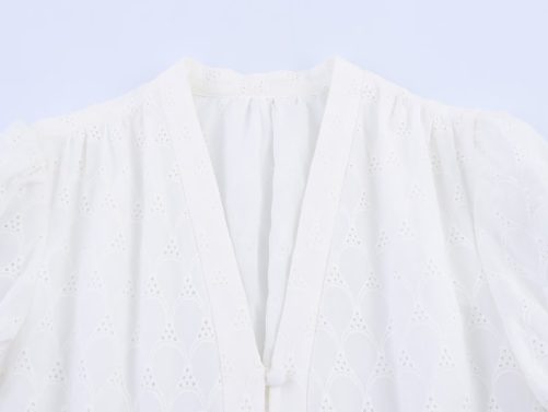 Elegant Hollow Out Cutout Embroidered Waist Slimming V Neckline Breasted Short Sleeve Dress in Dresses