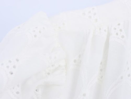Elegant Hollow Out Cutout Embroidered Waist Slimming V Neckline Breasted Short Sleeve Dress in Dresses