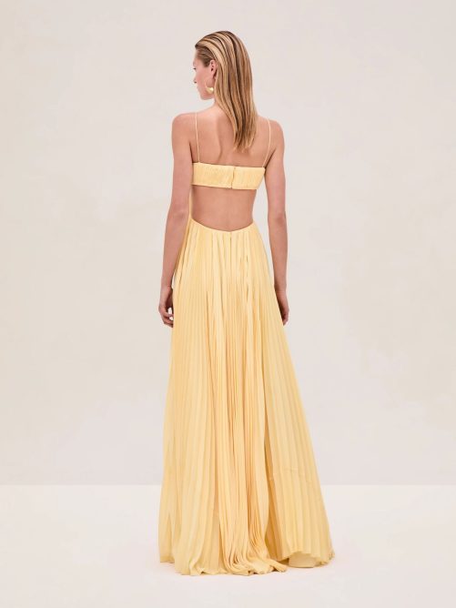 Sexy Pleated Backless Dress in Dresses
